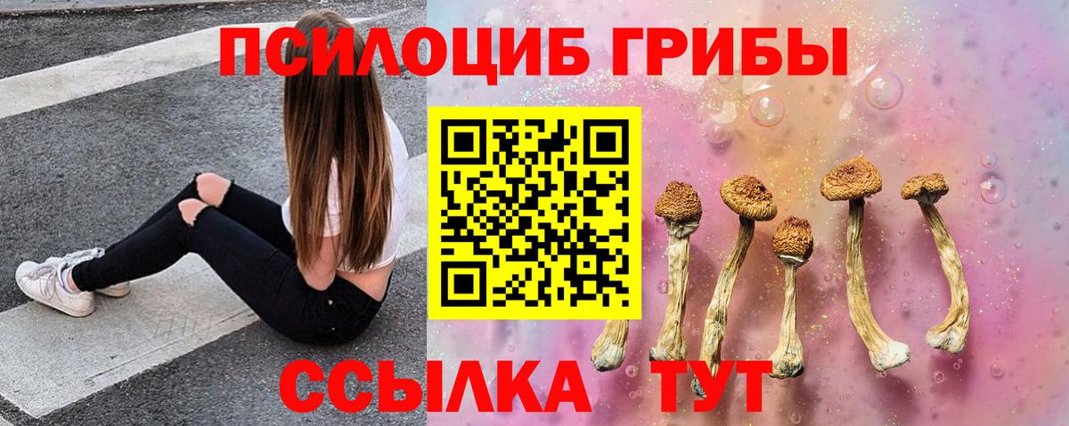 Набережные Челны  Галлюциногенные грибы ЛСД  Вход с VPN 